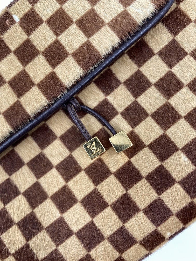 Louis Vuitton Damier Sauvage Gazelle Bag