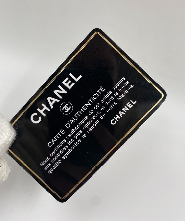 Vintage Chanel Camera Bag